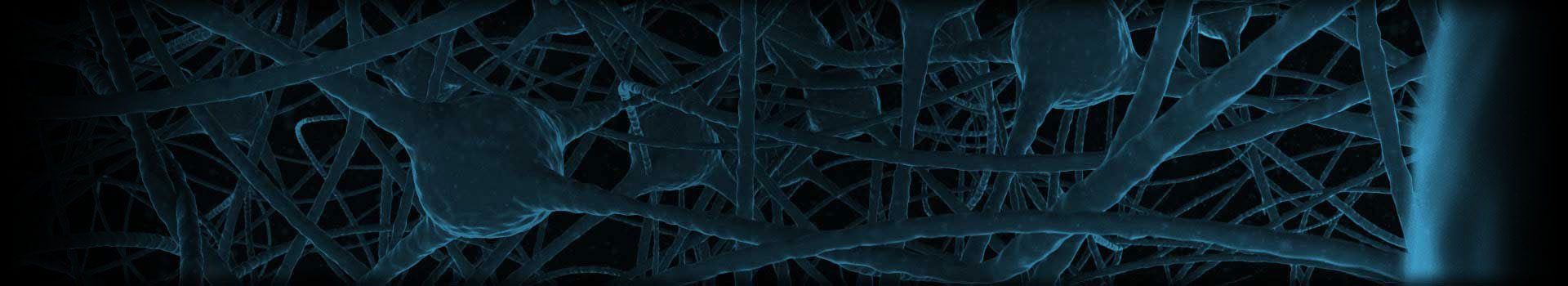 Neuropathy Nerve Pain