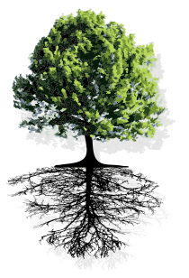 Laser Neuropathy Treatment Ocala